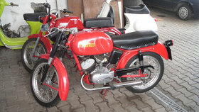 MOTO Guazzoni 100 Sport