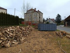 Dubové kůly a palivové dřevo