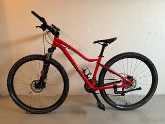 Specialized Jett