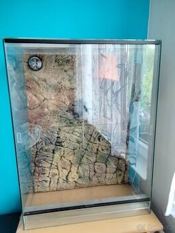 Terarium