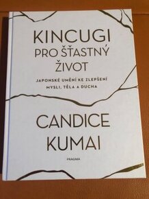 Kincugi-Jap.Kuch