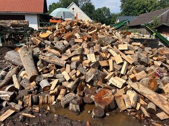 Palivové dřevo ( 90% BUK)