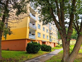 Prodej bytu 1+kk, 22,54 m  B. Smetany 1748, Kraslice