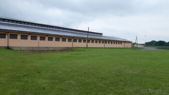 Pronájem haly v obci Třeština, okr. Šumperk