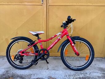 Superior Paint 20 dětské kolo spáčkovým řazením 9,5kg