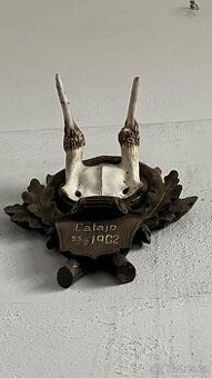 Starožitná lovecká trofej – daněk (r. 1902, zámek Catajo)