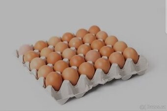 Domácí vajíčka