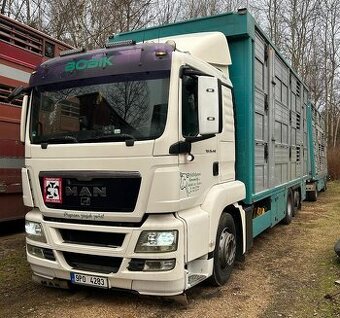 Man TGS 440 dobytčák