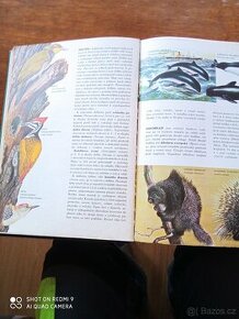 Kniha encyklopedie zvířat - 1