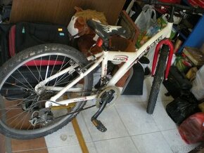 Detske kolo 24"