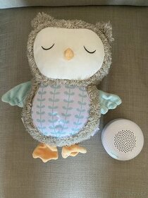 Ingenuity Hudební sova 0m+ s bluetooth