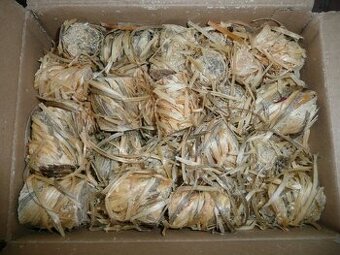 Podpalovač z dřevité vlny, plná krabice 100ks 3,6