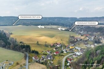 Stavební pozemek s vlastním lesem