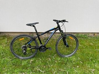 Kolo Maxbike LOMA
