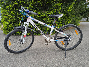 Maxbike 24