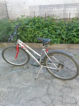 Kolo 26"