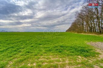 Prodej pole, 39881 m², Hostouň - 1