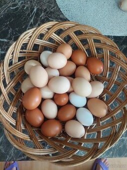 Domácí vejce z našeho chovu ,cena 5 Kč za kus