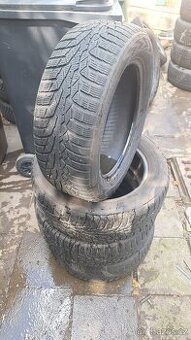 Zimní pneu Nokian WR D4 195/55 R15 89H
