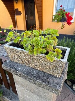 Kamenný květináč