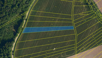 Prodej podílu 1/4 pole 4100 m2 k.ú. Malhotice, Rouské