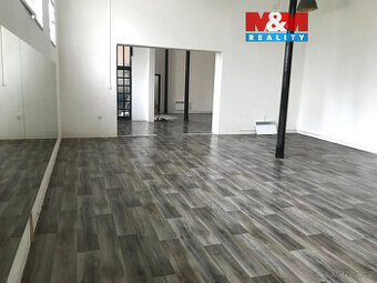 Pronájem skladu 150 m², v Brandýse nad Labem