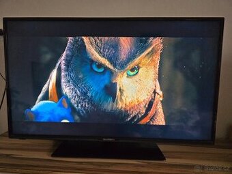 Televize GoGEN TVF 43P452T