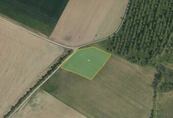 Zemědělská půda, prodej, Radim, Luže, Chrudim