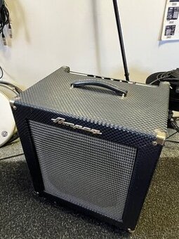 Ampeg B-100R