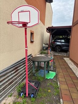 Kos na basket