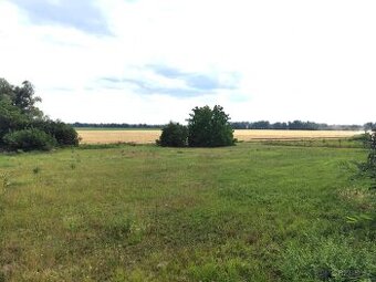 Prodej stavební pozemek k bydlení, 4308 m2, Dyjákovice