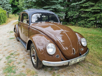 Brouk 1954 oval madlo kufru - 1