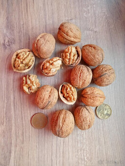 Vlašské a lískové ořechy