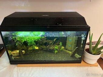 Akvárium INVITAL 60L. S rybičkama a filtrem Oase Bioplus 100