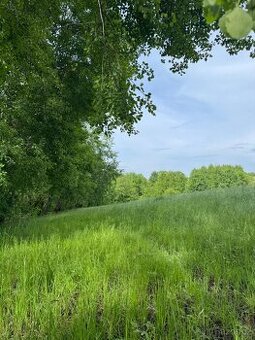 Prodám pozemky v katastrálním území Český Dub - louky