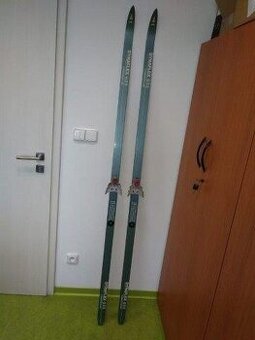 Běžky Dynaflex GSS 200 cm - 1