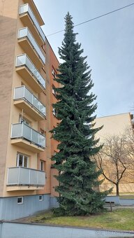 3+1 s garáží; Český Těšín