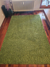 zelený koberec - 1