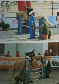 Pony učitelka