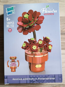 NOVÁ Stavebnice Zuanma Flowers sukulent