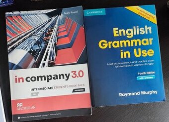 In Company 3.0. Intermediate + English Grammar in Use