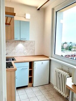 Pronajem 1+1 Praha Chodov