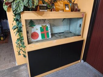 Terarium