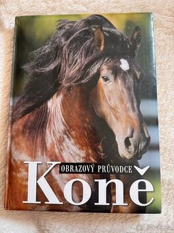 knihy o koních