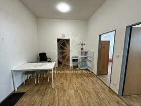 (ŠM17) Pronájem bytu  2+kk 58 m2 s vlastní kuchyňkou, Brno -