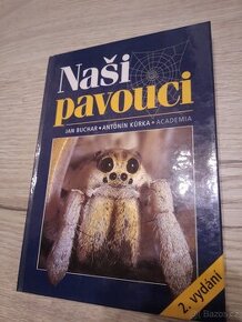 Motýli, pavouci