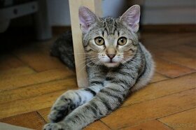 Krásná Minky