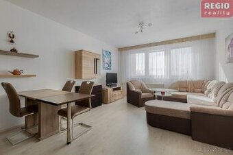 Pronájem bytu 1+kk, Frýdek, ul. Novodvorská
