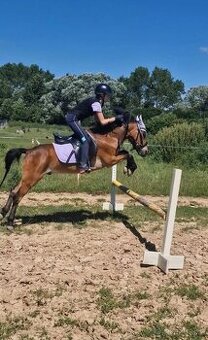 Sportovy pony