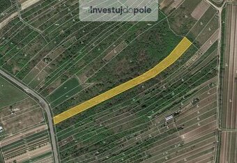 Prodej louky v k.ú. Němčičky u Hustopečí - 1